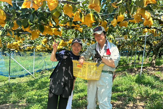 下関には、素敵なフルーツ農家さんがたくさんいるんです。