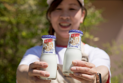 山口にもおいしい牛乳が
あることを伝えたい。