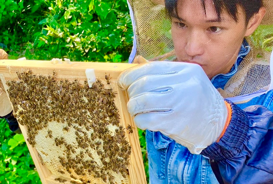 大学でスズメバチの研究をして
蜂蜜の魅力に気づいた。