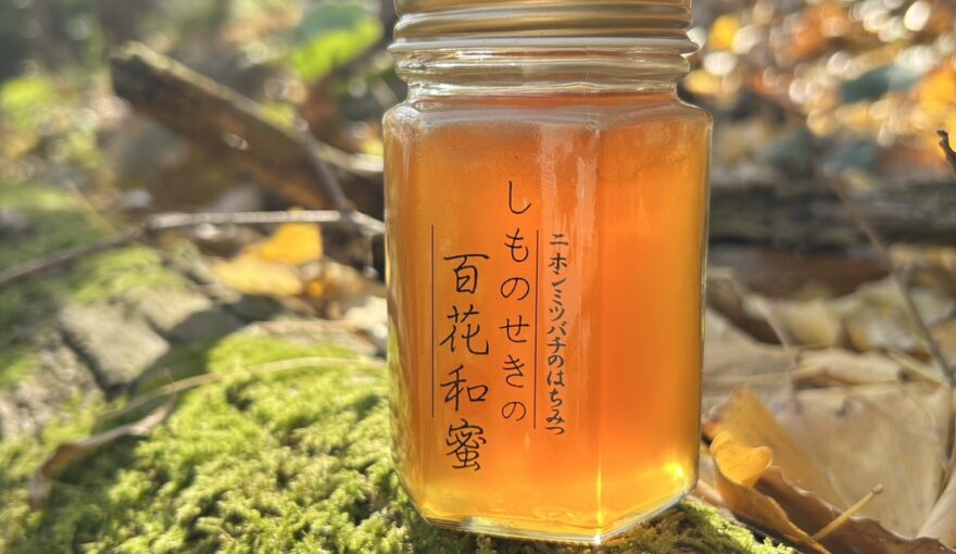 西岡養蜂場「しものせきの百花和蜜」を取材しました！【市民PRアンバサダー：山口discovery】